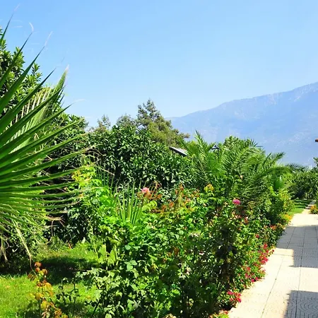 Telmessos Neva 3* Oludeniz